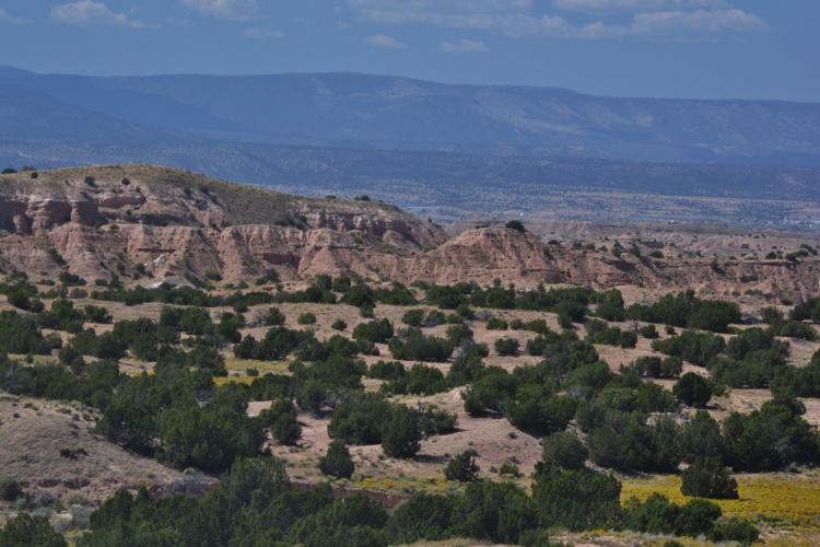 landscape on the High Road